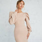 Backless Puff Sleeve Mini Dress
