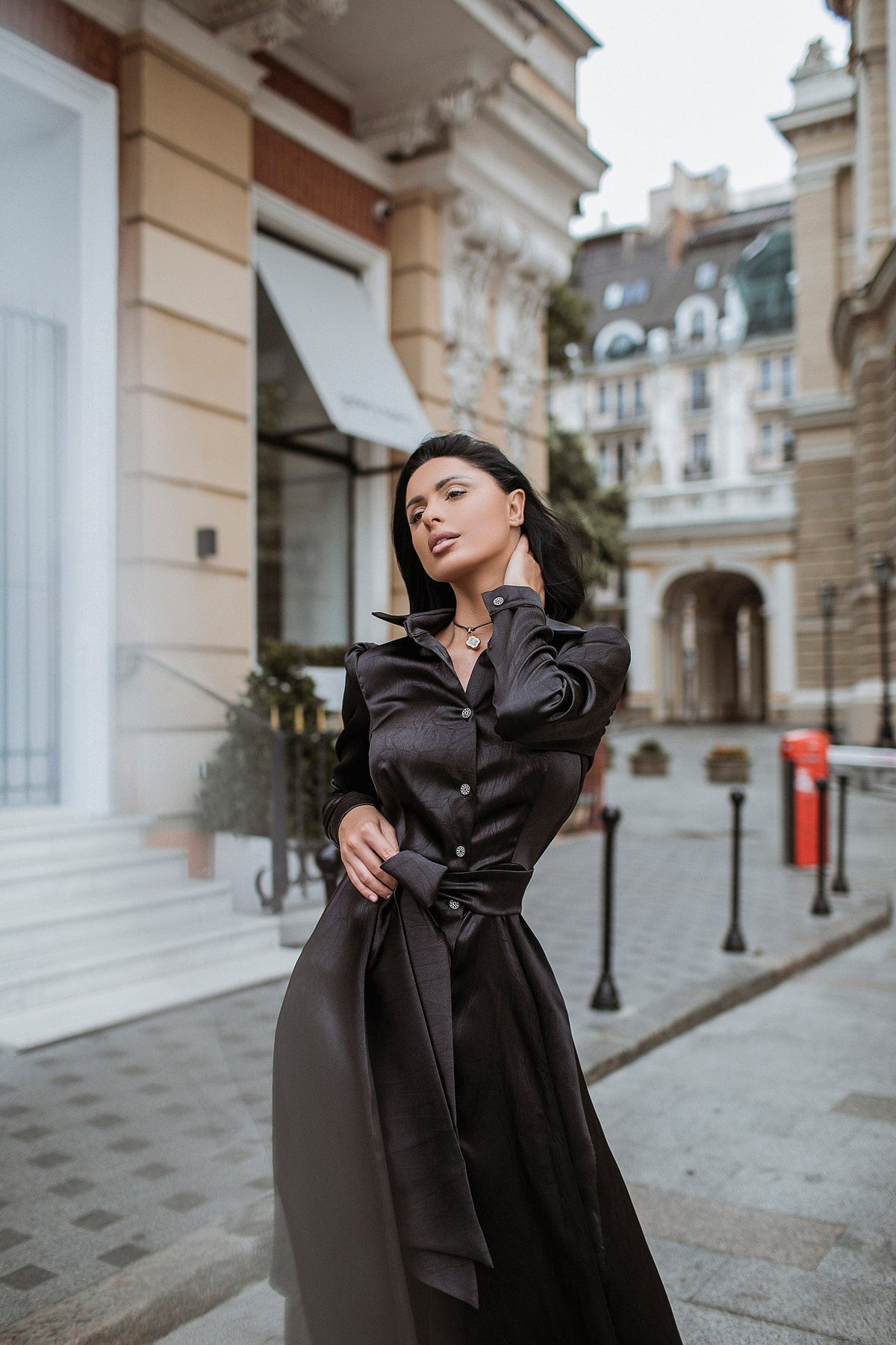 Satin Midi Dress Sheath Long Sleeve & Collared Neckline