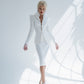 2-Piece Elegant Pencil Skirt Suit And Deep V Elongated Fitted Jacket